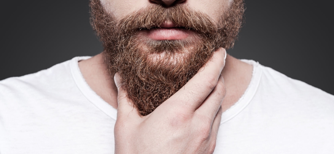 Man holding his well groomed beard.